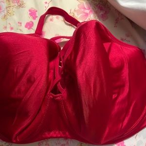 Elomi Women's Plus Size Bijou Flirt Underwire Banded Molded Cage Bra